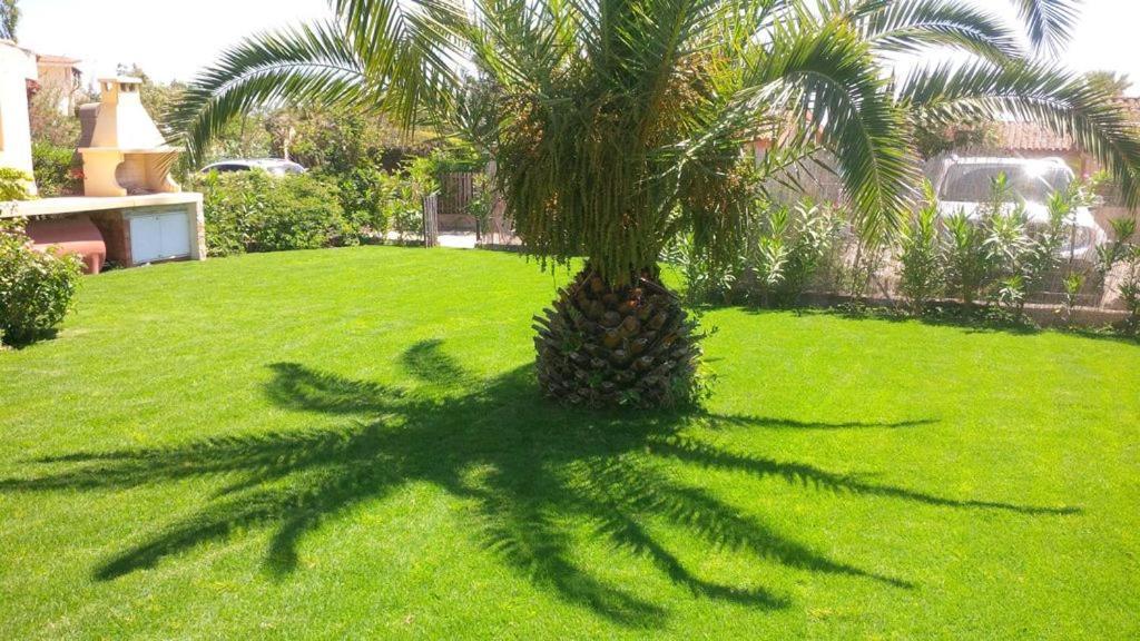 Villino Mimosa Villa Costa Rei Dış mekan fotoğraf